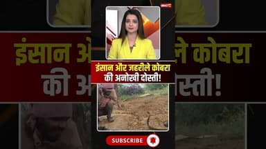 इंसान और जहरीले कोबरा की अनोखी दोस्ती! #snake #snakevideo #kingcobra #viralvideo #viralnews