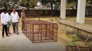 గోవిందరావుపేట: ఎన్నికల హామీలో ఇచ్చిన మాట కోసం గోవిందరావుపేటలో కోతుల వేట!