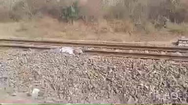 कामडारा: गाँव कुदा के पास ट्रेन से कटकर एक अज्ञात व्यक्ति की मौत, पुलिस शिनाख्त में जुटी