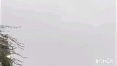 बीदासर: बीदासर में सूरज नहीं निकला, घने कोहरे और भीषण ठंड से जनजीवन प्रभावित