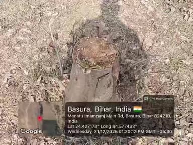 इमामगंज: सड़क निर्माण में रोघा गांव के पास मनरेगा के पेड़ काटे जा रहे हैं