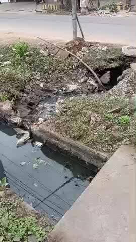 #खुले पड़े नाले बन सकते हैं बड़े हादसे का जिम्मेदार
कानपुर शास्त्री नगर मटिया पूर्व