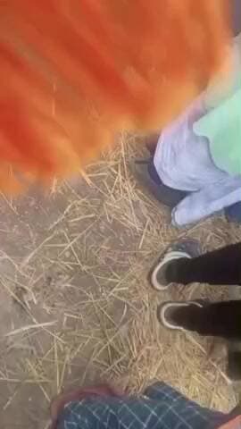 बरहरा: पटरहा पंचायत के मोकमा में युवक की गोली मारकर हत्या, सड़क जाम