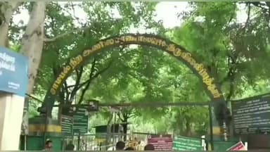 ஸ்ரீவில்லிபுத்தூர்: வத்திராயிருப்பு சதுரகிரி சுந்தர மகாலிங்கம் கோவிலில் மார்கழி மாத பௌர்ணமி முன்னிட்டு ஆயிரக்கணக்கான பக்தர்கள் மலையேறி சுவாமி தரிசனம்