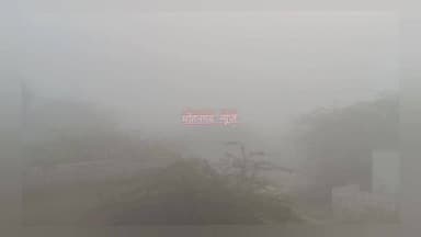 मोहनगढ़ सहित नहरी क्षेत्र मे छाया घना कोहरा....
#jaisalmer #barmer #Bikaner #jodhpur #rajsthan