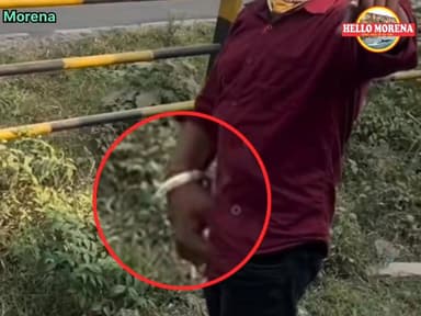 आरटीओ चेक पॉइंट पर पुलिस के जवानों की मौजूदगी में वर्दी का सम्मान करता नकाबपोश👇
#मुरैना #Morena #RTOoffice #चेकपॉइंट #अव...