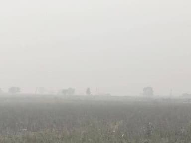 ಸಿರವಾರ: ಸಿರವಾರ ತಾಲ್ಲೂಕಿನಲ್ಲಿ ಅತಿಯಾದ ಚಳಿ, 10 ಗಂಟೆಯಾದ್ರು ಬಿಡದ ಇಬ್ಬನಿ