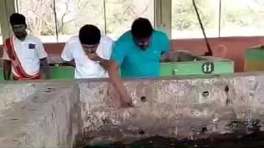 திருப்பூர் வடக்கு: கல்லாங்குத்து பகுதிகள் நுண் உரமாக்கும் மையத்தில் மாநகராட்சி மேயர் நேரில் ஆய்வு மேற்கொண்டார்