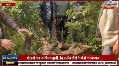 झंडूता के जंगलो में रातो रात काट दिए खैर के पेड, क्षेत्र में वन माफिया हावी
#devbhoominewstimes #himachalpradesh #bilasp...