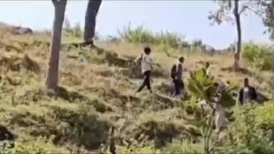 तामिया: चौरापठार में तेंदुए ने 5 बकरियों को शिकार बनाया, इलाके में दहशत, वन विभाग ने किया मुआयना