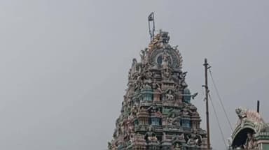 பரமக்குடி: மீனாட்சி அம்மன் கோயிலில் நடராஜர் ஆனந்த தாண்டவம் வெகு சிறப்பாக நடைபெற்றது