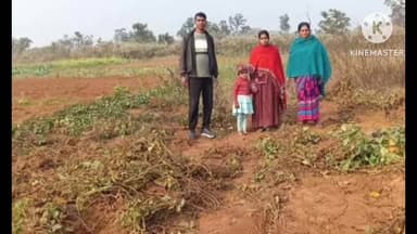 सोनाहातु: जामुदाग में हाथियों का तांडव, जंगली हाथियों के झुंड ने किसानों की सब्जी की फसल की नष्ट