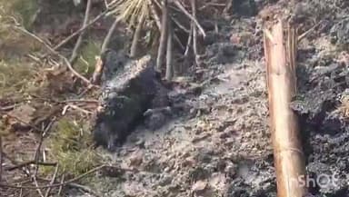 मनिया: हीर पक्ष को सूचना दिए बिना नवविवाहिता का किया अंतिम संस्कार