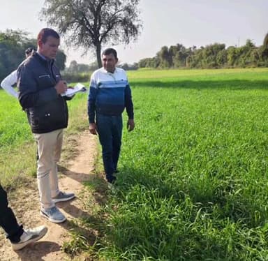 समदड़ी: अतिरिक्त निदेशक कृषि (विस्तार) ने किया क्षेत्रीय भ्रमण, किसानों को कृषि सुधार के निर्देश दिए