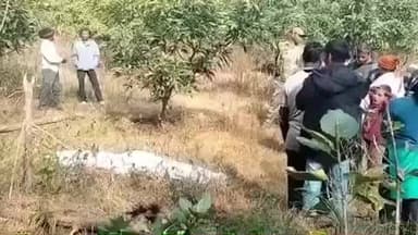 चैनपुर: ससुर के बागान हर्रा में पेड़ पर लटका मिला दामाद का शव, मची हड़कंप