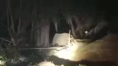 झींकपानी: हाथियों का आतंक, सायड़बा में एक और किशोर की मौत, अब जागा वन विभाग