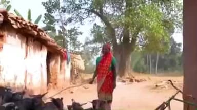 पालकोट: पालकोट में फूलों झानो आशीर्वाद योजना से बदली जिंदगी, महिला की मासिक आय ₹12,000 हुई