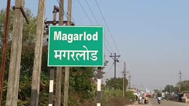 मगरलोड: मगरलोड इलाके में फिर बिकने लगे मोमोज, लोगों ने जताई चिंता और जांच की मांग की