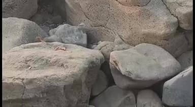 धनोरा: कोठीघाट में 14 जनवरी को ऐतिहासिक मेले का आयोजन होगा