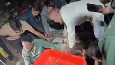 ବାଲିିଅନ୍ତା: ପାହାଳ ଥାନା ଅଞ୍ଚଳରେ ଷଣ୍ଢ କୁ ଧାରୁଆ ଅସ୍ତ୍ର ରେ ଆକ୍ରମଣ ଅଭିଯୋଗ, ପୋଲିସର ଛାନବିନ