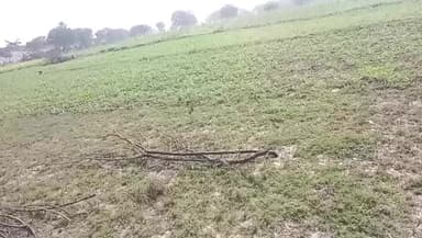 happy new year wishes #happynewyear