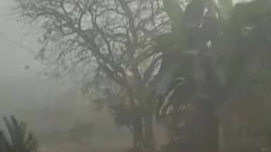 मंसूरचक: मंसूरचक प्रखंड क्षेत्र में बढ़ती ठंड से जनजीवन प्रभावित