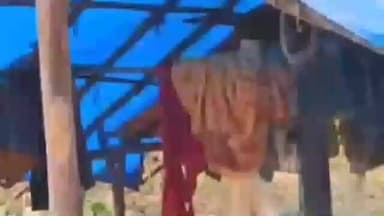 गुराबंदा: सबुआ माकड़ी गांव में त्रिपाल के सहारे शबर परिवार का जीवन, सरकार के दावों की खुली पोल