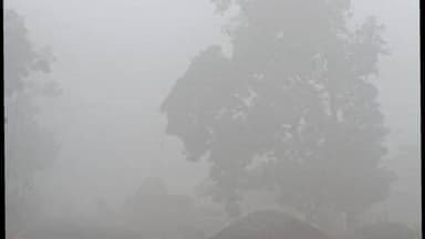 कलुआही: कलुआही में कड़ाके की शीतलहर से जनजीवन अस्त-व्यस्त