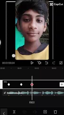 capcat template rahul editing