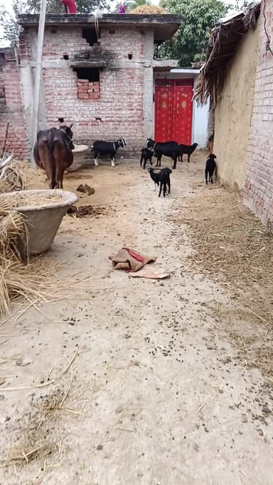 ग्राम जबलपुर थाना शेरघाटी में कुछ दबंग लोगों ने रास्ता रोक रखा है जिसका नाम शंकर यादव है और हमें 10 दिन से घर सेबाहर नि