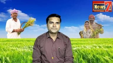 #news गंगापुर सिटी अनाज मंडी के भाव #gangapurcity #anajmandi