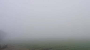 #शामगढ़ क्षेत्र मे छाया कोहरा