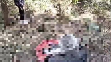 कोटड़ा: पानरवा के जंगल में बकरियां चराने गई विवाहिता की संदिग्ध हालात में मौत