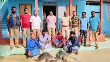 கீழக்கரை: அப்பா தீவு அருகே ஆமைகளை வேட்டையாடிய நான்கு பேர் கைது வனத்துறை நடவடிக்கை