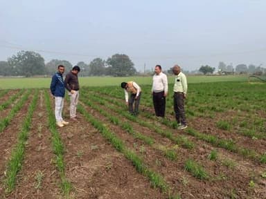 रहटगांव: पान तलाई में कृषि विभाग के अधिकारियों ने गेहूं व चना फसल का किया निरीक्षण