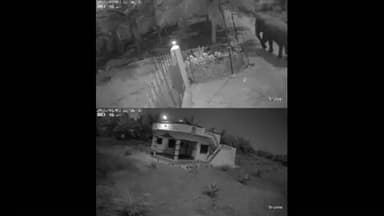 தாளவாடி: அருளவாடி கிராமத்திற்குள் ஒற்றை யானை கேட்டை உடைத்த அட்டகாசம் சிசிடிவி காட்சி சமூக வலைத்தளங்களில் பரவி வைரல்