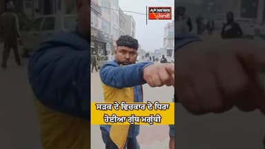 ਸੜਕ ਵਿਚਕਾਰ ਪੈ ਗਿਆ ਪੰਗਾ ਦੇਖੋ ਕਿ ਹੈ ਮਾਮਲਾ।