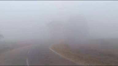 कैरो: कैरो प्रखंड में घना कोहरा और शीतलहर, ठंड से जनजीवन अस्त-व्यस्त, फसलों की सुरक्षा में जुटे किसान