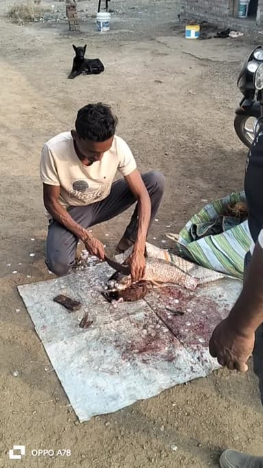 machli vlogs #mynewvlog