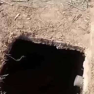 मझौली: कुसमी के भगवार में शौचालय के टैंक में गिरी गौ माता, ग्रामीणों ने बचाया