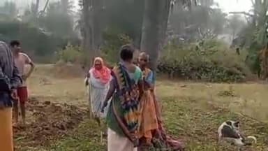 கிருஷ்ணகிரி: காவேரிப்பட்டினம் அருகே ஆட்டுப் பாலன் கொட்டாய் பகுதியில் மூதாட்டியை மரத்தில் கட்டி வைத்து தாக்கி நிலத்தை டிராக்டரில் உழுந்த உறவினர்கள்