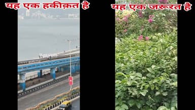 यह एक हकीक़त है, यह एक जरूरत है #viralpost2025シ #Bihar #FREE #india