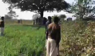 थांदला: ग्राम मोरझारी में तेंदुए का आतंक, वनकर्मी समेत कई ग्रामीण घायल