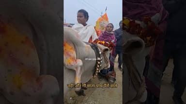 नदी और गौ माता पांचपैरों वाले #खबर #khabriyanews24 #जानकारी #ख़बर1इंडिया #latestnews