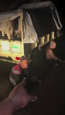 ସତ୍ୟବାଦୀ: ଗୋ ମାତା ଙ୍କ ଚାଲାଣ ବେଳେ ମାଡି ବସିଲେ ଗୋ ସେବକ ଦଳ, ସତ୍ୟବାଦୀ ଥାନା ପୋଲିସ ଘଟଣା ସ୍ଥଳରେ ତଦନ୍ତ ଆରମ୍ଭ l