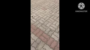 चलकुशा: कन्या प्लस टू उच्च विद्यालय बेलकपी में आईसीटी लैब से ताला तोड़कर सामान चोरी