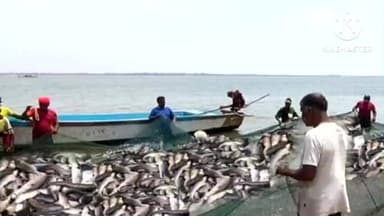 खरीक: पोखर से जबरन मछली मारने का आरोप, मामला दर्ज किया गया