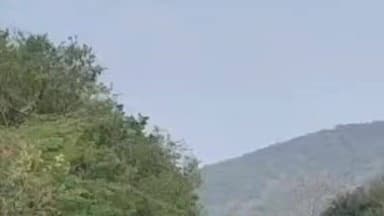 பென்னாகரம்: ஒகேனக்கலில்
வனப்பகுதி நடுவே அமைந்துள்ள ரோட்டை கடந்து வாகன ஓட்டிகளை மிரட்டும் ஒற்றை யானை