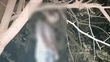 जैसीनगर: करैया गांव में अतिथि शिक्षक का शव पेड़ से लटका मिला, जैसीनगर पुलिस जांच में जुटी, पोस्टमार्टम के बाद शव परिजनों को सौंपा