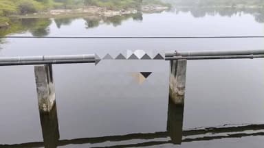 हमीरगढ़: बनास नदी में मृत नीलगाय का शव पांच दिन तक तैरता रहा, पंचायत की उदासीनता पर उठे सवाल